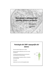 Neuropatie e patologia del sistema nervoso periferico