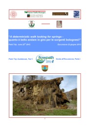 “A deterministic walk looking for springs