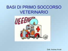 basi di primo soccorso veterinario