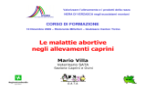 Le malattie abortive negli allevamenti caprini