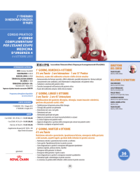 2&deg; itinerario di medicina d`urgenza iv parte corso pratico 4&ordm;