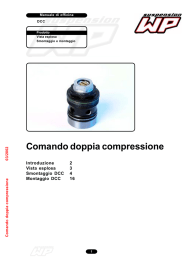 WP Suspension manual Italiaans