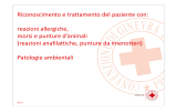 13 - reazioni allergiche o morsi e punture d`animali Intossicazioni