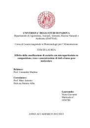 Documento PDF