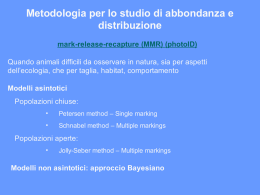 Metodologia per lo studio di abbondanza e distribuzione mark