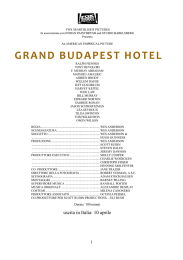 grand budapest hotel - Studio PUNTOeVIRGOLA