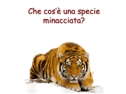 Specie minacciate d`estinzione