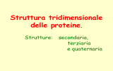 Struttura delle proteine