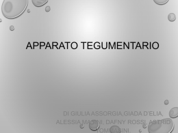 apparato tegumentario - Blog Scuola Secondaria I^grado Monza