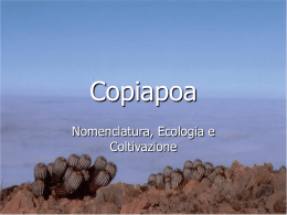 Copiapoa - Cactipedia