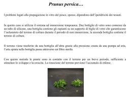 Micropropagazione