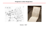 Filogenesi e alberi filogenetici