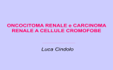 Cancro renale cell cromofobe + oncocitoma renale