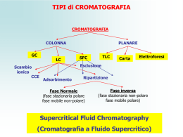 Cromatografia a Fluido Supercritico Fluidi Supercritici