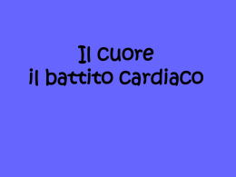 Il battito cardiaco11