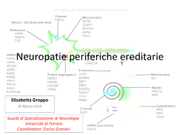 Neuropatie Ereditarie,Elisabetta Groppo 2016