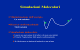 Simulazioni Monte Carlo e Dinamica Molecolare