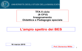 TFA 4^ L`ampio spettro dei BES