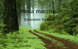 Nella macchia - ITAS Cantoni Treviglio