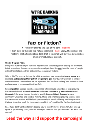 The Big Fish Campaign