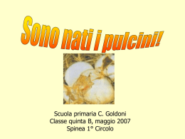 I pulcini di Piero - Istituto Comprensivo Spinea 1