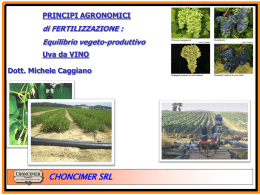 Presentazione di PowerPoint