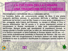 LA CULTURA DELLA CANAPA ……UNA TRADIZIONE MOLTO