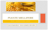 Piante mellifere