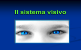 Sistema_sensoriale_parte_4