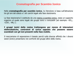 Cromatografia per Scambio Ionico