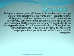 Osteologia - LICEO ARTISTICO