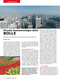 Piccola fenomenologia delle bolle