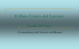 Il libro unico del Lavoro Dottor Simone D`Ario