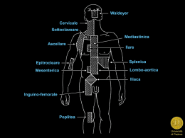 Linfoma a cellule T