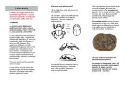 PDF Acrobat Reader - Soprintendenza Archeologia Emilia