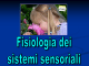 Sistema_sensoriale_parte_1