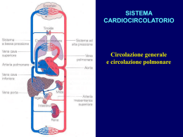 Presentazione di PowerPoint