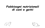 Fabbisogni nutrizionali di cani e gatti