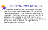 IL SISTEMA IMMUNITARIO - Liceo Scientifico Salvemini