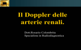 Il Doppler delle arterie renali.