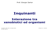 Biochimica dell`inquinamento - Home page @charlie.ambra.unibo.it