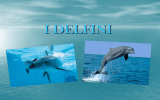 i delfini