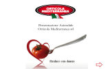 Diapositiva 1 - Orticola Mediterranea