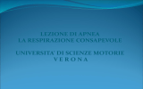 Diapositiva 1 - Dipartimento Scienze Neurologiche Biomediche e