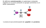 Amminoacidi-e-proteine