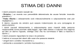 11^ lezione stima dei danni