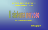 Diapositiva 1 - Istituto Comprensivo "Santa Lucia"