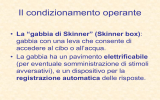 apprendimento condizionamento