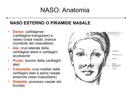 naso - Infermieristica