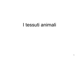 I tessuti animali